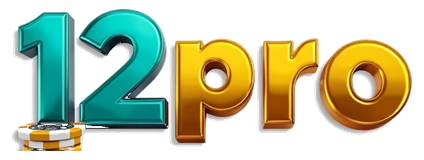 12pro